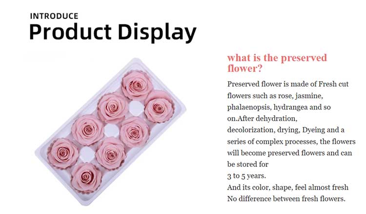the newest Everlasting Flower 8 flowers Rose Gift Box