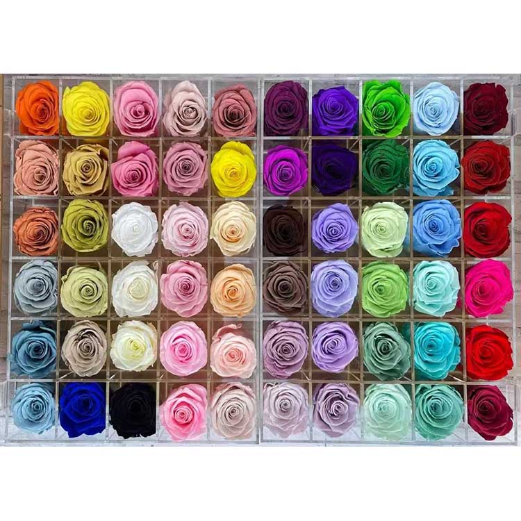 กุหลาบที่เก็บรักษาไว้